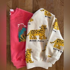 Zara sweatshirts - set of 2